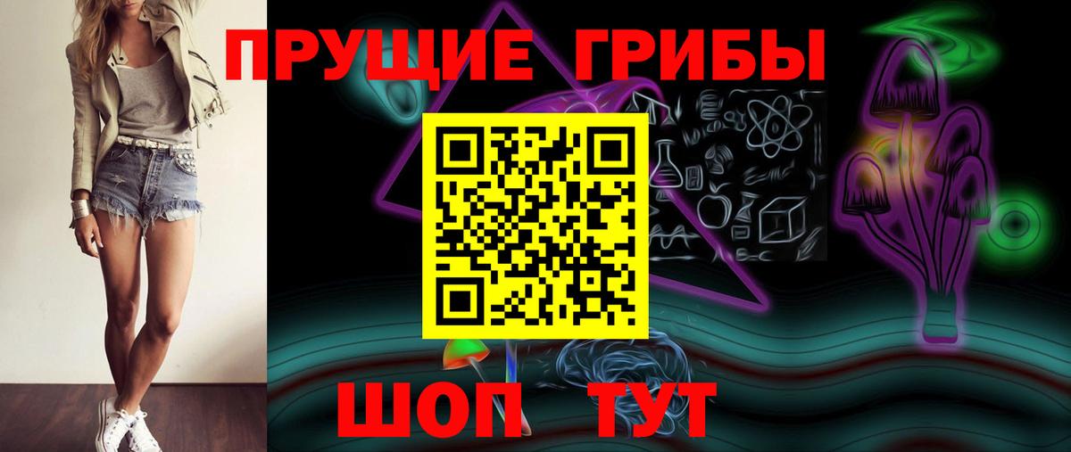 Галлюциногенные грибы Psilocybe Луховицы