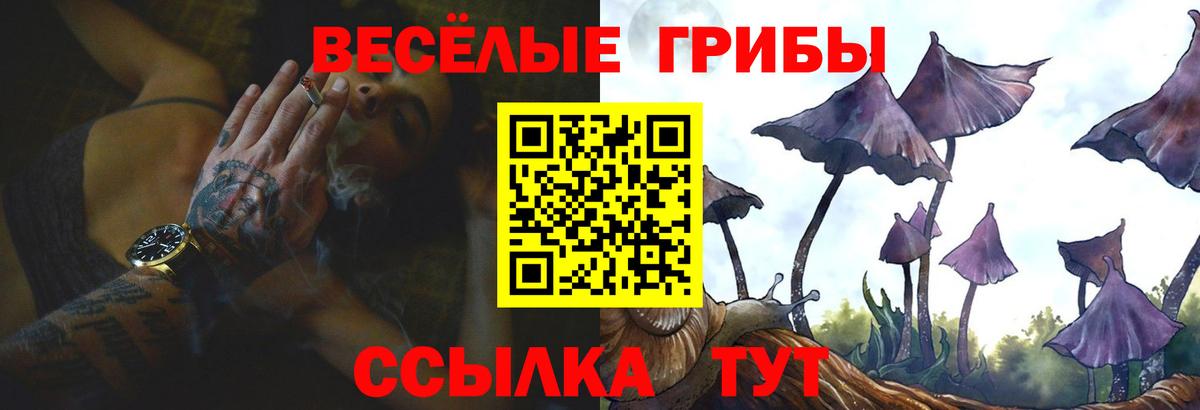 Луховицы  Галлюциногенные грибы Psilocybe  где найти   Вход с VPN 